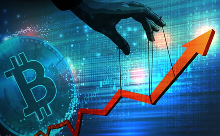 Brazil Conservation Efforts - SECURE YOUR ASSETS WITH ADVANCED CRYPTOGRAPHY